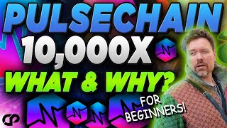 🔥What Is PULSECHAIN  10000X CRYPTO FOR BEGINNERS  BEST CRYPTO EVER RICHARDS PULSEX  CRYPTOPRNR [upl. by Macnair217]