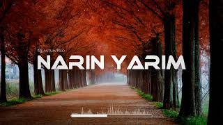 Narin Yarim  Banu Parlak Quantum Pro Remix Benim Narin Narin Yarim Suya Düştü Hayalim [upl. by Ellenod]