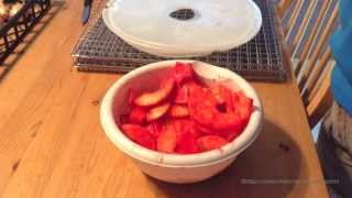 Candied dehydrated apples [upl. by Mackoff]