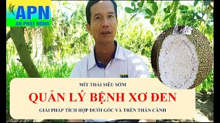 APN  MÍT GIẢI PHÁP QUẢN LÝ BỆNH XƠ ĐEN  SẢN PHẨM MỚI CHUYÊN TRỊ VI KHUẨN GÂY XƠ ĐEN [upl. by Alane]