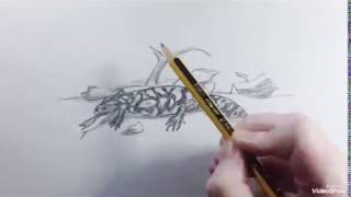 How to draw a Gila Monster speed  Como dibujar un Monstruo de Gila rápido [upl. by Noret683]