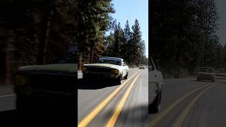 The Overcrest rally is not just Porsches fordmustang oregon rollingshots cars driving roads [upl. by Yerdua632]