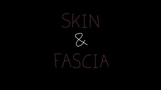 Skin and Fascia  Anatomy [upl. by Flosi]