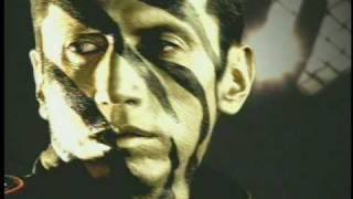 Aterciopelados  Hijos de Tigre Official Music Video [upl. by Kira216]