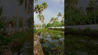 Kumarakom [upl. by Adnolaj]