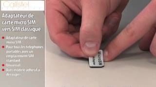 ADAPTATEUR DE CARTE MICROSIM VERS SIM CLASSIQUE [upl. by Eelrebmyk121]