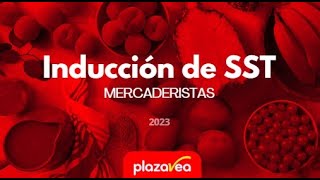 INDUCCIÓN DE SST PARA MERCADERISTAS  PLAZA VEA Y VIVANDA [upl. by Juakn]