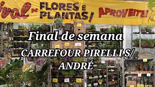 SÁBADO É dessa maneira NO CARREFOUR PIRELLI SANDRÉ Orquídeas 🪴 e muito mais sempre cPromoções [upl. by Esiuole]