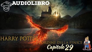 Audiolibro  Harry Potter e lordine della fenice  Lettura e Commento Cap 29 [upl. by Bowes]