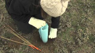 Habitat Restoration for Kangaroo Rats [upl. by Hayifas]