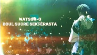 WATSONG ❌ BS SEKTÈ RASTA OFFICIAL VISUALIZER [upl. by Aissyla290]