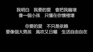 戴佩妮  你要的愛歌詞版 [upl. by Chelsae]