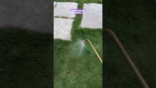 Termite Garden Spray Treatment Work in Villas  SS Pest Control Services [upl. by Fira]