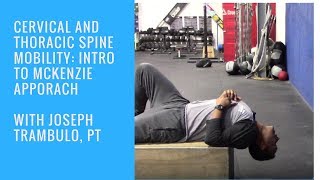 Cervicothoracic Spine Mobility with Joseph Trambulo [upl. by Atineb]