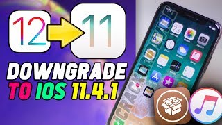 Downgrade iOS 12 to iOS 1141 amp Jailbreak Update  iPhone iPad amp iPod 120 KEEP DATA [upl. by Fleeta]