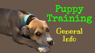 Puppy Training General Information [upl. by Arodnap762]