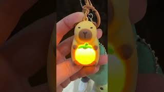 capybara keychain so cute ❤️❤️ 2024 capybara capybara bara [upl. by Nwahsauq]