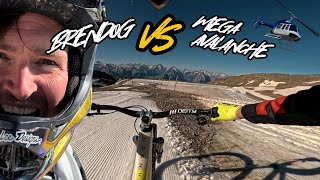 COMPUTER GAME MOUNTAIN BIKE RACE MEGAVALANCHE 2024 [upl. by Wailoo]