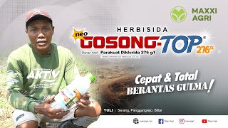 maxxiagri  herbisida Neo GOSONGTOP 276SL Cepat amp Total Basmi gulma Lahan jagung josss mantap [upl. by Robinetta]