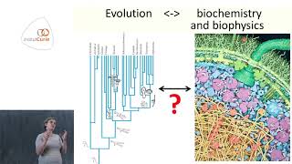 Evolutionary cell biophysics lessons from the yeast polarity network  Liedewij Laan [upl. by Krock]