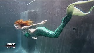 Bay Area man makes mermaids  or at least their tails [upl. by Jacquenetta]