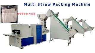 Multi Drinking Straw Packing Machine straw od 8mm，length 240mm 500pcsbag；Bulk Straw Packing Machine [upl. by Aihsemaj]