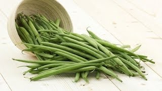 Growing Beans In Containers [upl. by Kenney]