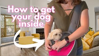 How to get dog inside of Pet Sling Carrier [upl. by Airbas]