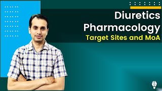 Diuretic Drugs Pharmacology Part 1 Target Site and Mechanism of Action of Diuretics [upl. by Anilatsyrc]