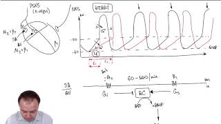 Chronotropic Effect Part 33 [upl. by Annehcu]