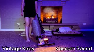 ASMR Vacuuming in a Relaxing Living Room  Sleepy Dogs by Warm Cozy Fireplace for Deep Sleep [upl. by Stila529]