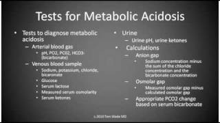 Metabolic Acidosis [upl. by Doelling35]