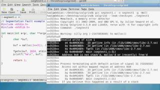 Valgrind  Live Debugging Examples [upl. by Aekal]