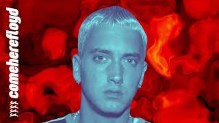 Eminem  The Real Slim Shady [upl. by Carbrey]