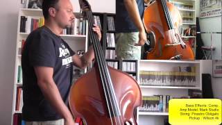 Che cossè lamor  Vinicio Capossela  Bass Cover Ita [upl. by Goulden]