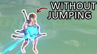 Speedrunning BOTW Without Jumping Jumpless Explained [upl. by Adnyl491]