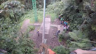 Rainforest Tarzan Swing in Costa Rica [upl. by Wallford]