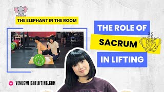 The White Elephant in Olympic Weightlifting  the role of sacrum in lifting [upl. by Moclam]