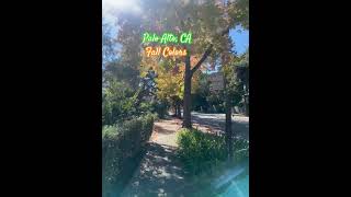 Palo Alto Fall Colors  Like👍 amp Subcribe👆please❤️ 112024 travel 202410 shorts nature bike [upl. by Dur]