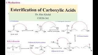 Esterification of Carboxylic Acid [upl. by Joline]