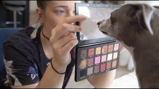 My Dogs Pick My Makeup [upl. by Echikson]