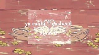 ya rabbi  ali dawud nasheed  slowed  eco [upl. by Arondell]