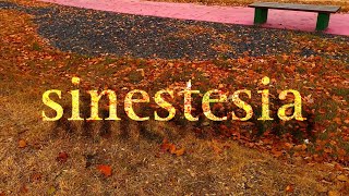 sinestesia [upl. by Digirb446]