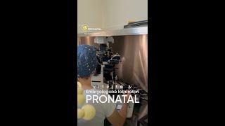 Jak funguje embryomonitoring Laboratoř PRONATAL [upl. by Lorilyn]