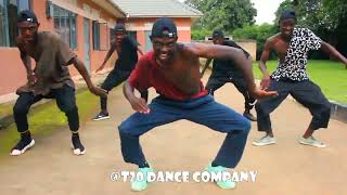 ChekechaRMXKarole Kasita Winnie Nwagi and Vinka Dance cover by T20 Dance Company [upl. by Brnaba123]