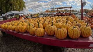 Markham City 🍁Reesor Market’s Products 🍁 🍁 North East Markham  Ontario Canada [upl. by Nadnal]