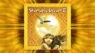 Magic Flow by Anugama  Shamanic Dream 2 [upl. by Oretos871]