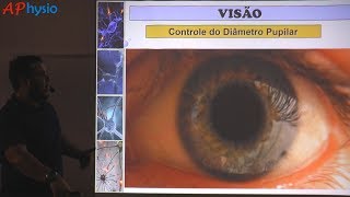 Fisiologia da Visão  Regulação do diâmetro pupilar Midríase e Miose [upl. by Aliac]