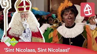 HOOR WIE KLOPT DAAR KINDEREN  Sinterklaasliedjes  NPO Zappelin [upl. by Ailemap]