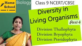 Diversity in Living Organisms class 9 Biology Part4 [upl. by Janela562]